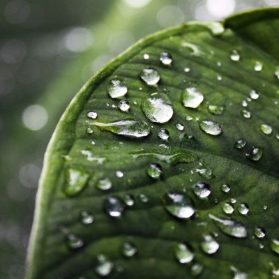 1920 x 1080 HD Wallpapers 301